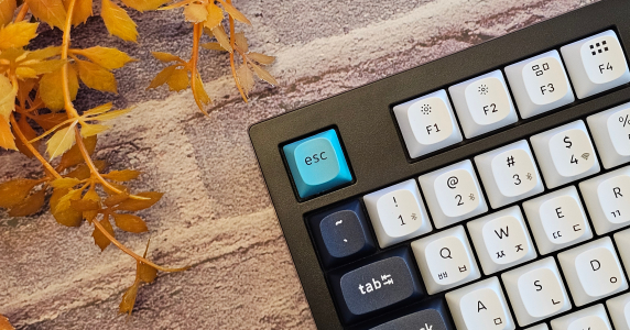 키크론 K10 PRO MAX 풀배열 사무용 사무실 올인원 기계식 키보드, 저소음 화이트 백축